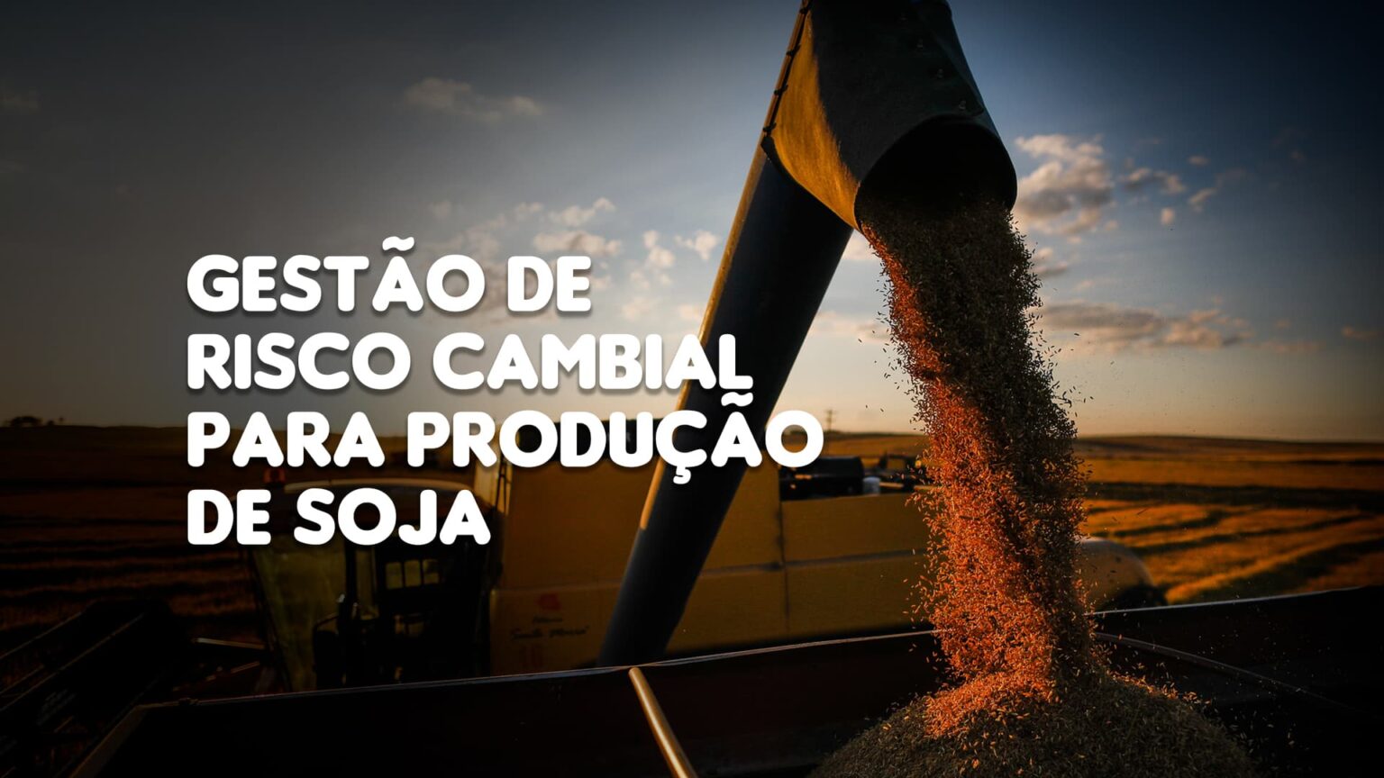 A importancia da gestao de risco cambial para os produtores de soja no brasil