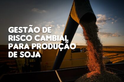 A importancia da gestao de risco cambial para os produtores de soja no brasil