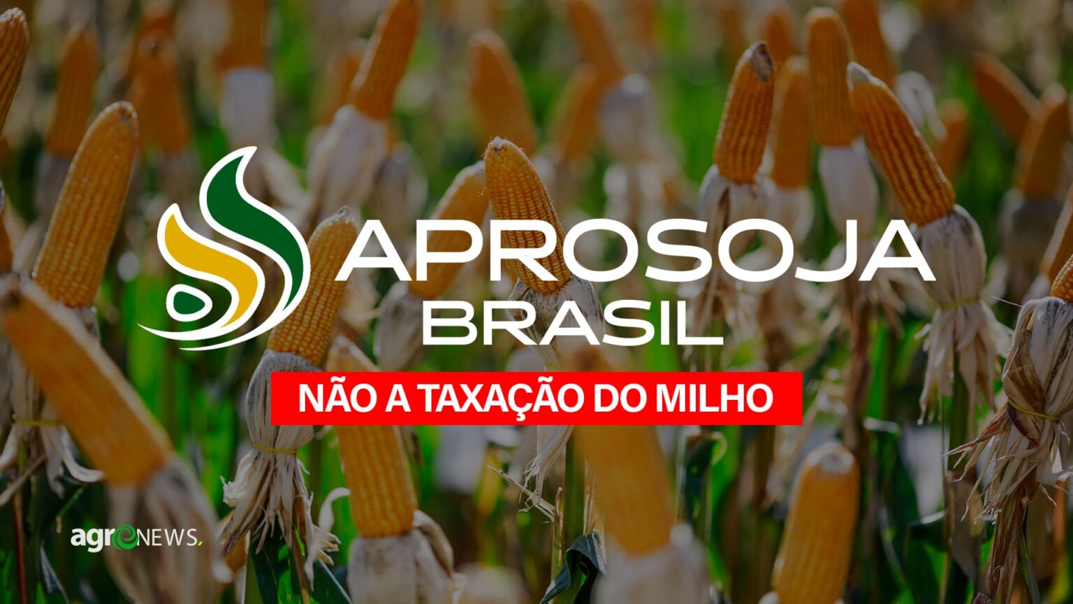 Aprosoja emite nota contra taxacao das exportacoes do milho