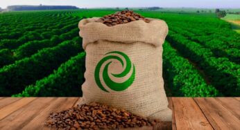 Exportações de café do Brasil atingem 13,81 milhões de sacas no 1º quadrimestre do ano