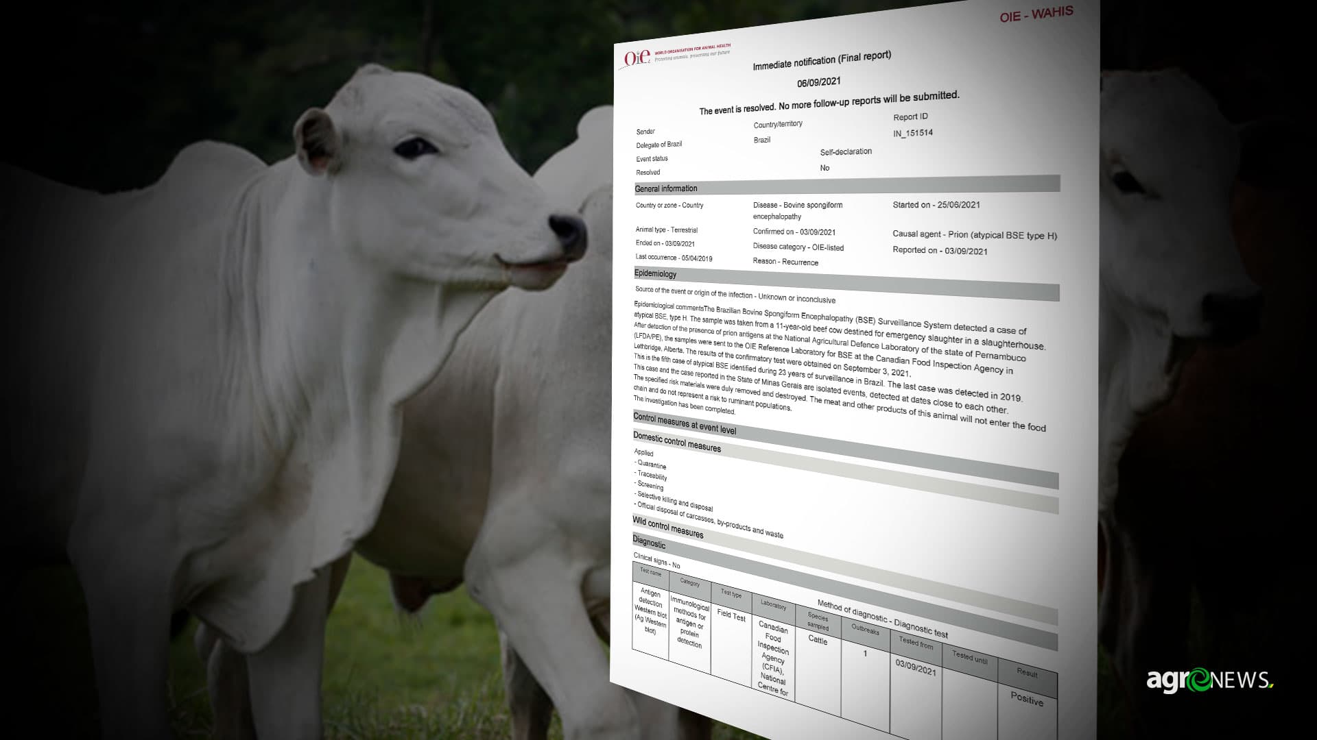 Casos de “Vaca louca” não representam riscos à pecuária nacional, diz OIE