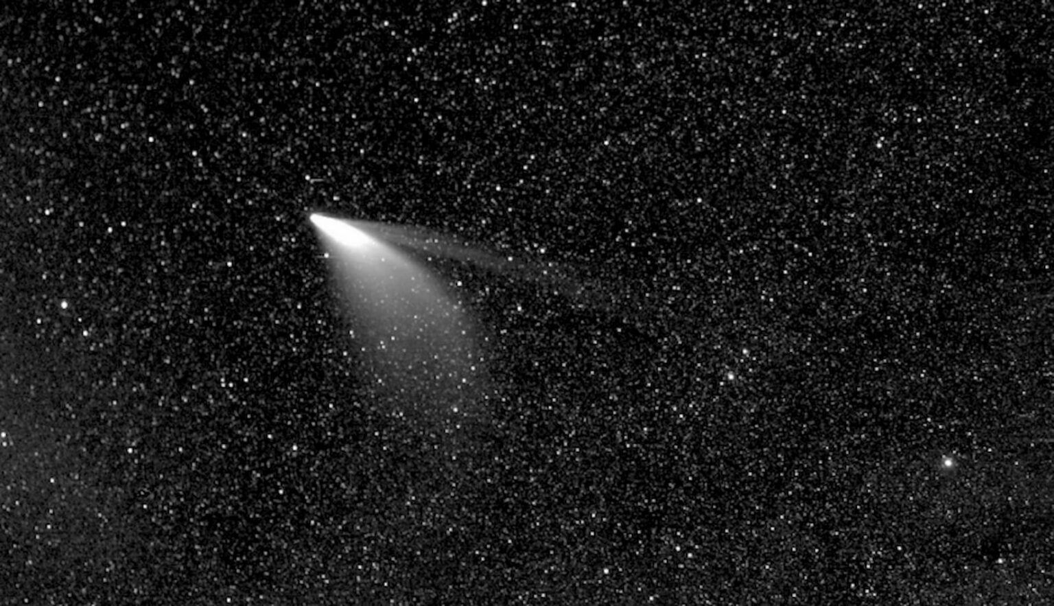 Cometa newise