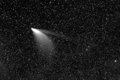 Cometa newise