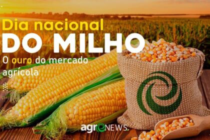 Dia nacional do milho