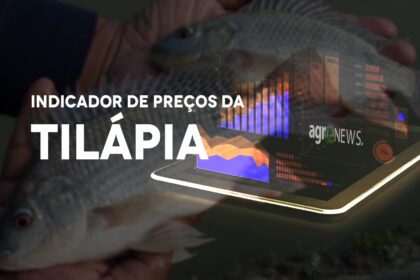 Indicador de preco da tilapia