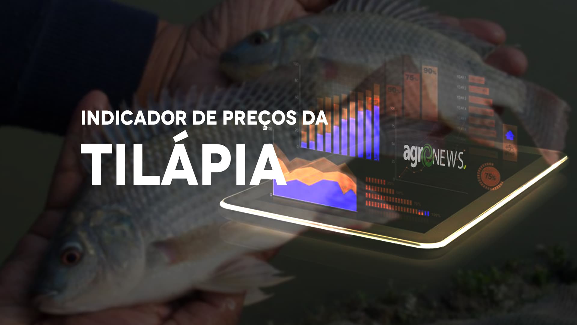 Preços da Tilápia passam a fazer parte dos indicadores do CEPEA