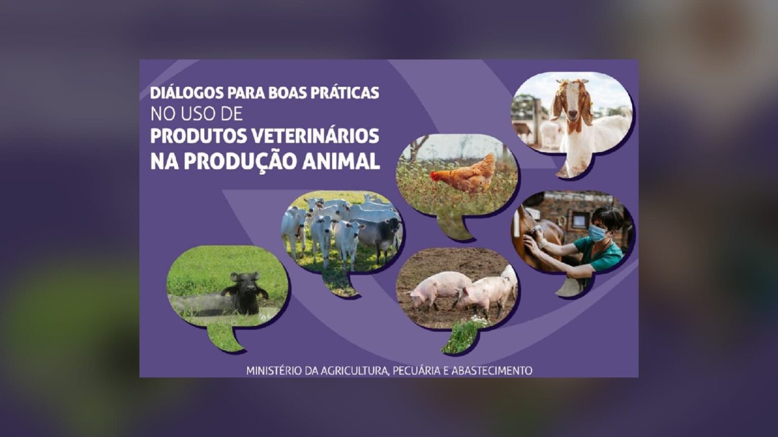 Indea mt lanca campanha de boas praticas de uso de produtos veterinarios