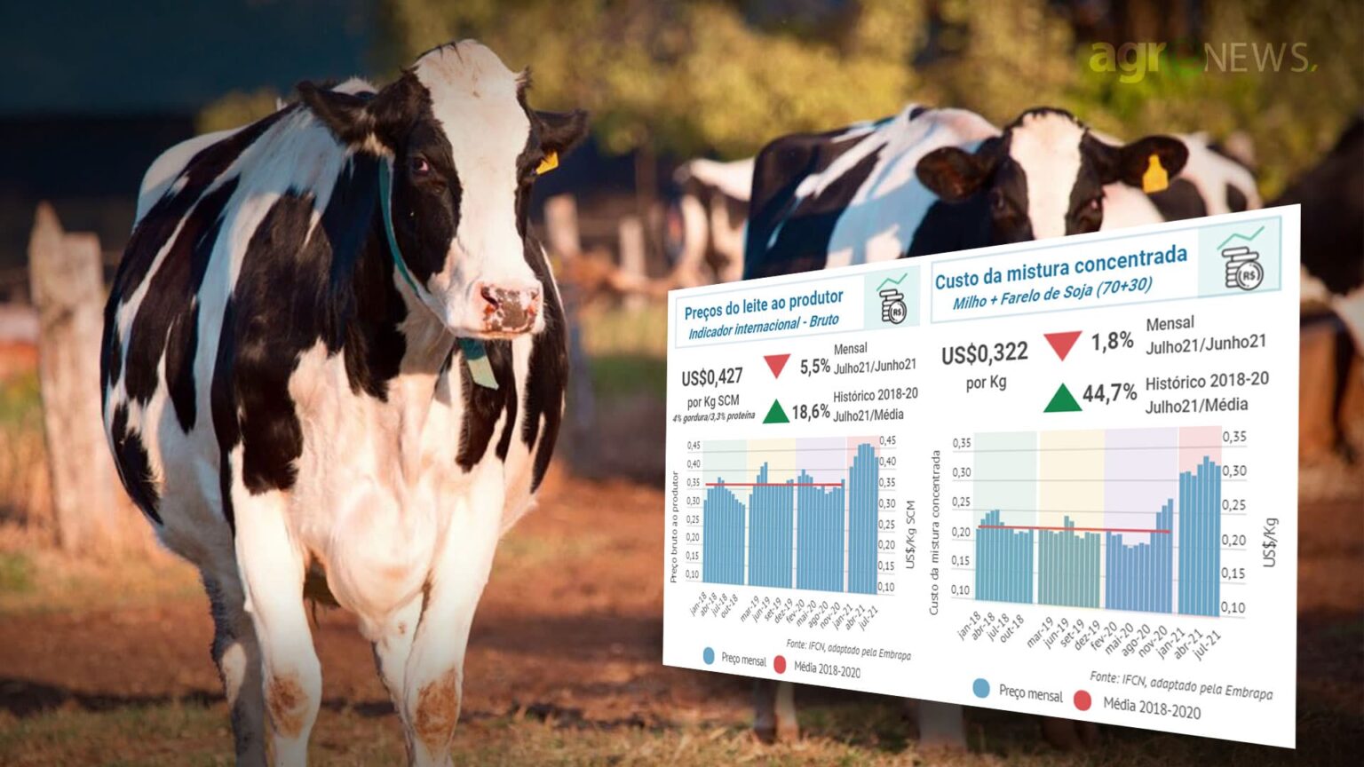 Margem do leite sobre a mistura concentrada registra queda no mercado internacional