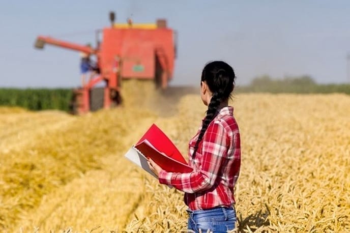 Mulheres no agro