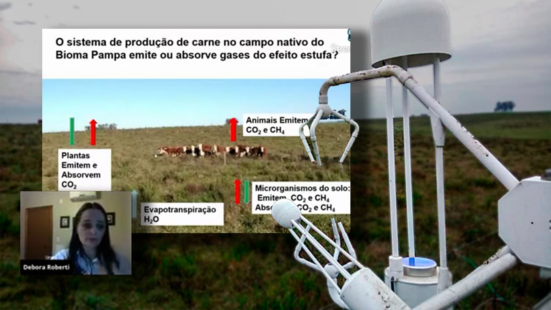 Pesquisa revela que o Pampa Gaúcho absorve gases do efeito estufa (GEE) e pode ser lucrativo
