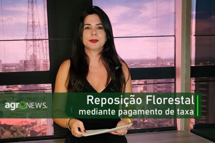 Reposicao florestal mediante pagamento de taxa saiba como