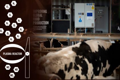 Startup desenvolve reator de plasma para reter metano do esterco de vacas