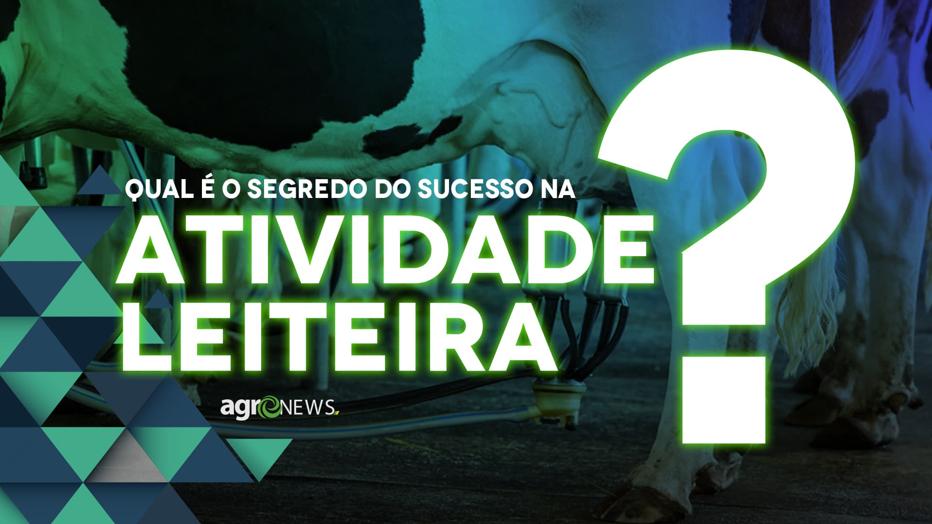 Sucesso na atividade leiteira pode ser garantido da porteira para dentro, saiba como