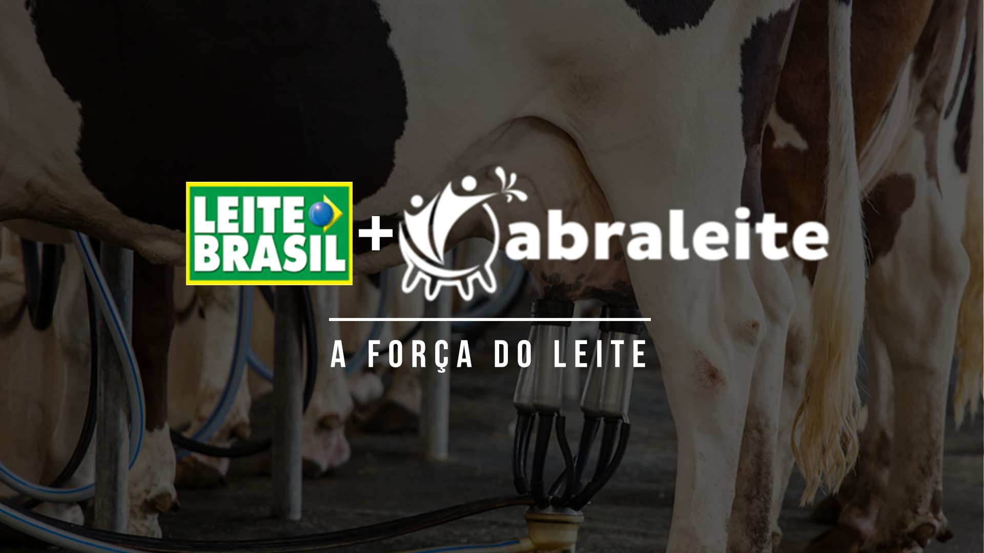 Leite Brasil é incorporada a ABRALEITE e Geraldo Borges permanece na presidência