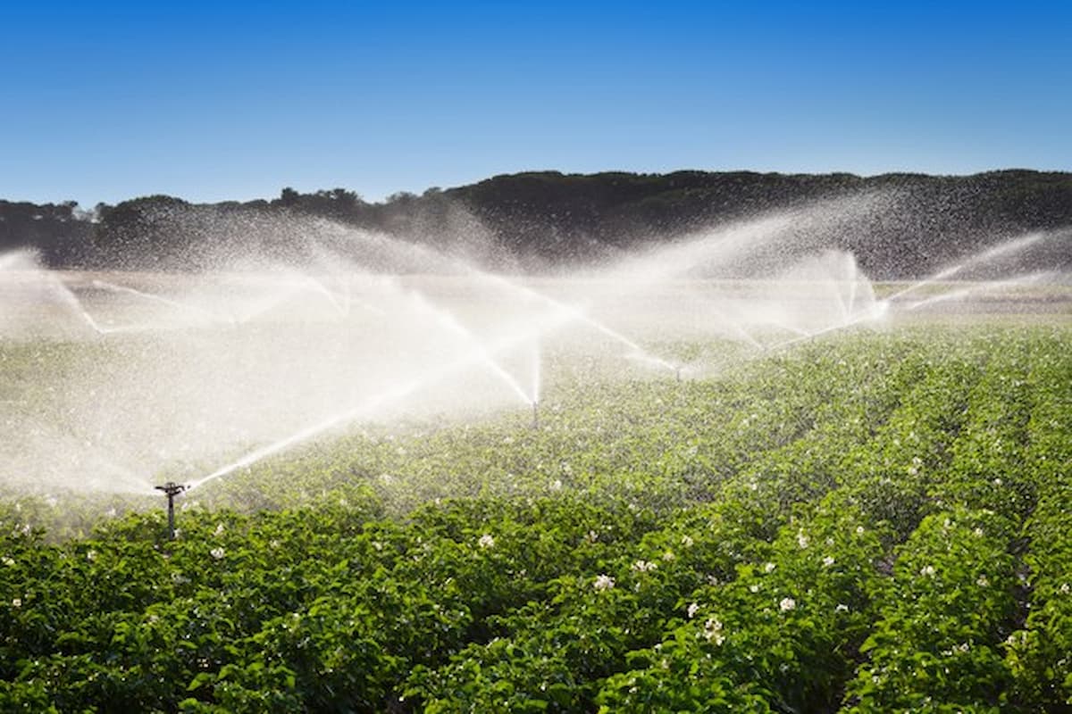 Agricultura irrigada