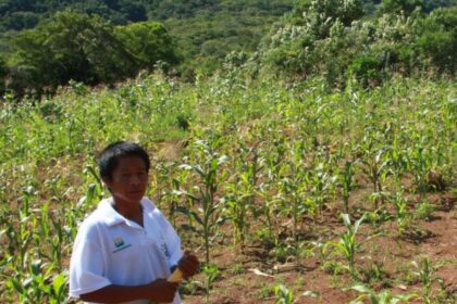 Ar agua e terra vida e cultura guarani 2