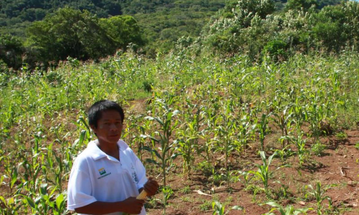 Ar agua e terra vida e cultura guarani 2