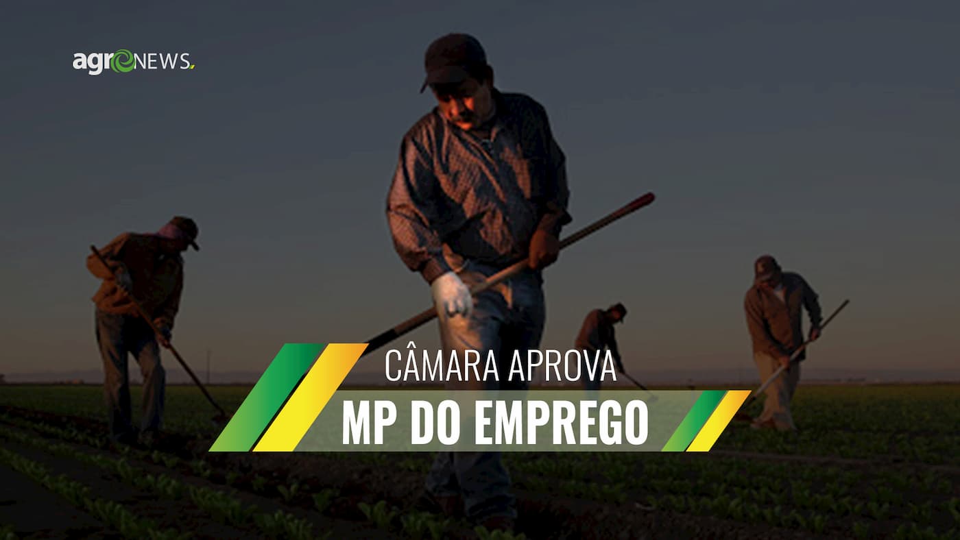 Camara aprova mp do emprego