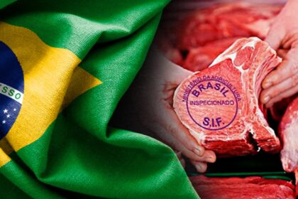 Carne certificada brasileira agronews