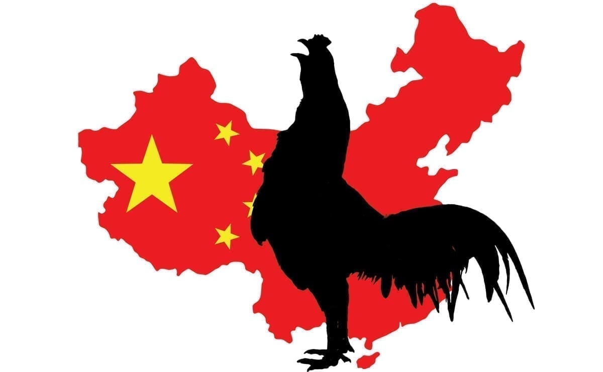 Chinese chicken 2 1