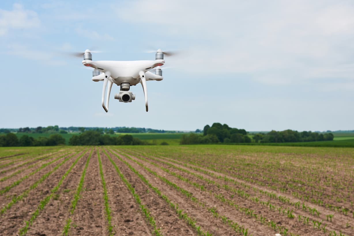 Drone quad copter with high resolution digital camera on green corn field agro 1