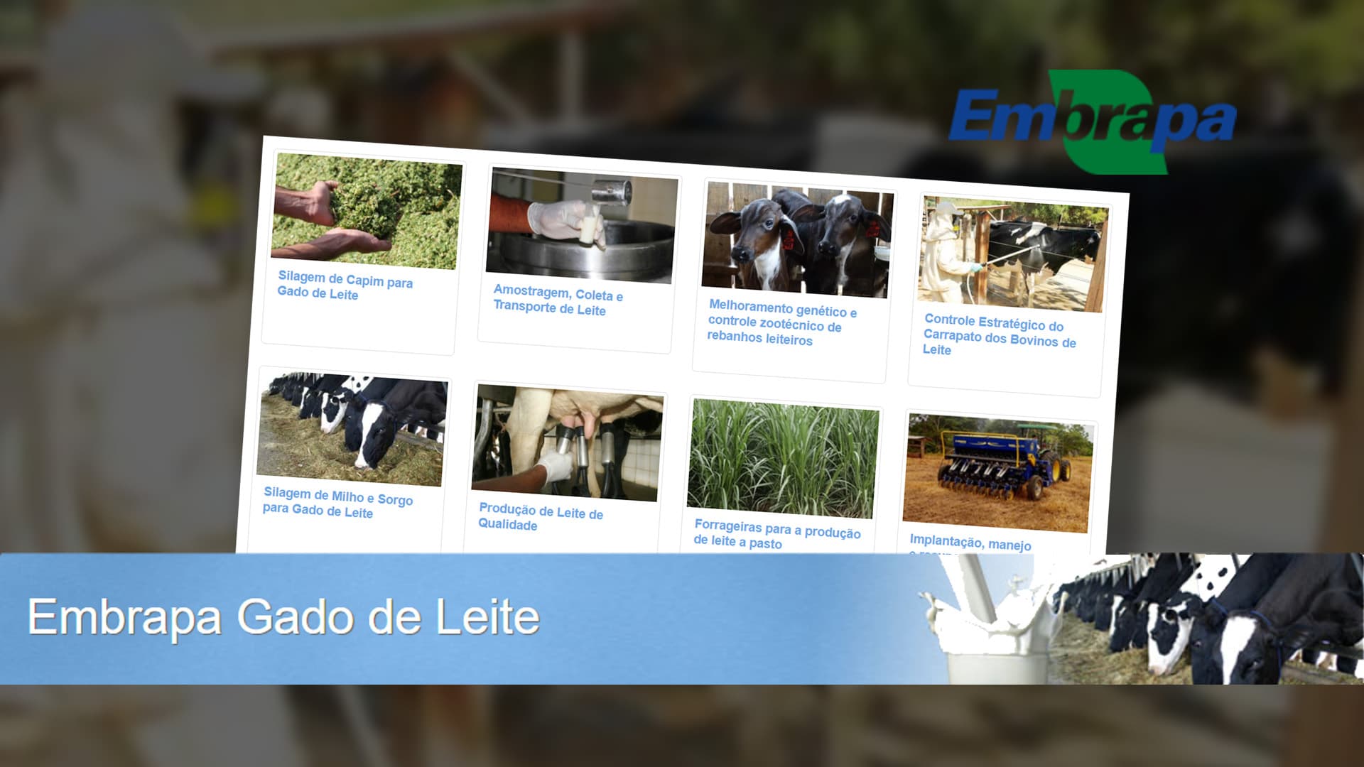 EAD em bovinocultura de leite da Embrapa aumenta 1.000% na pandemia