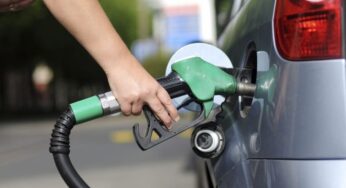 Etanol enfrenta nova queda: avanço na moagem pressiona preços desacelerando negócios