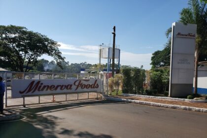 Minerva foods