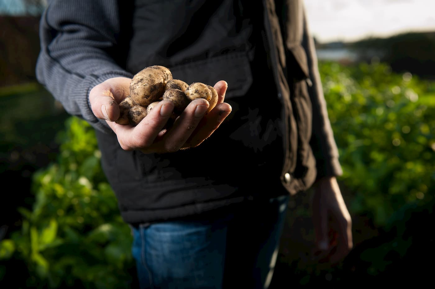 Nota abmra apoio produtor rural