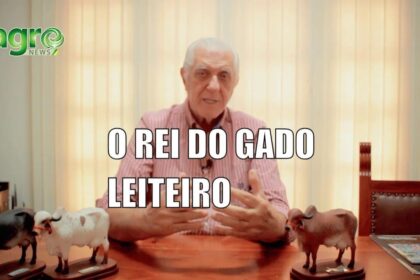 O rei do gado leiteiro