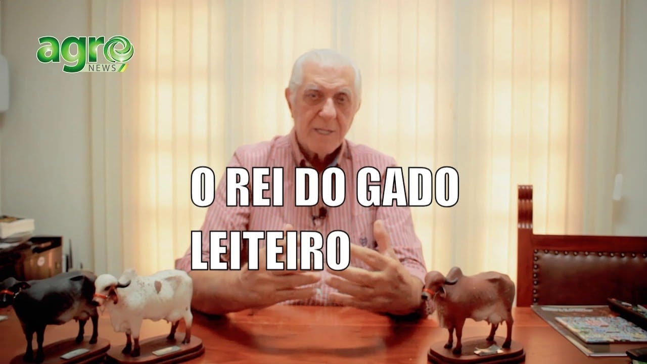 O rei do gado leiteiro