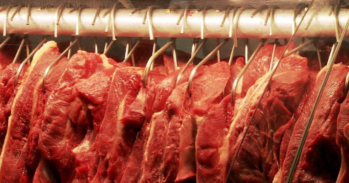 Carne bovina: média diária exportada cresceu 39,2% no mês de maio