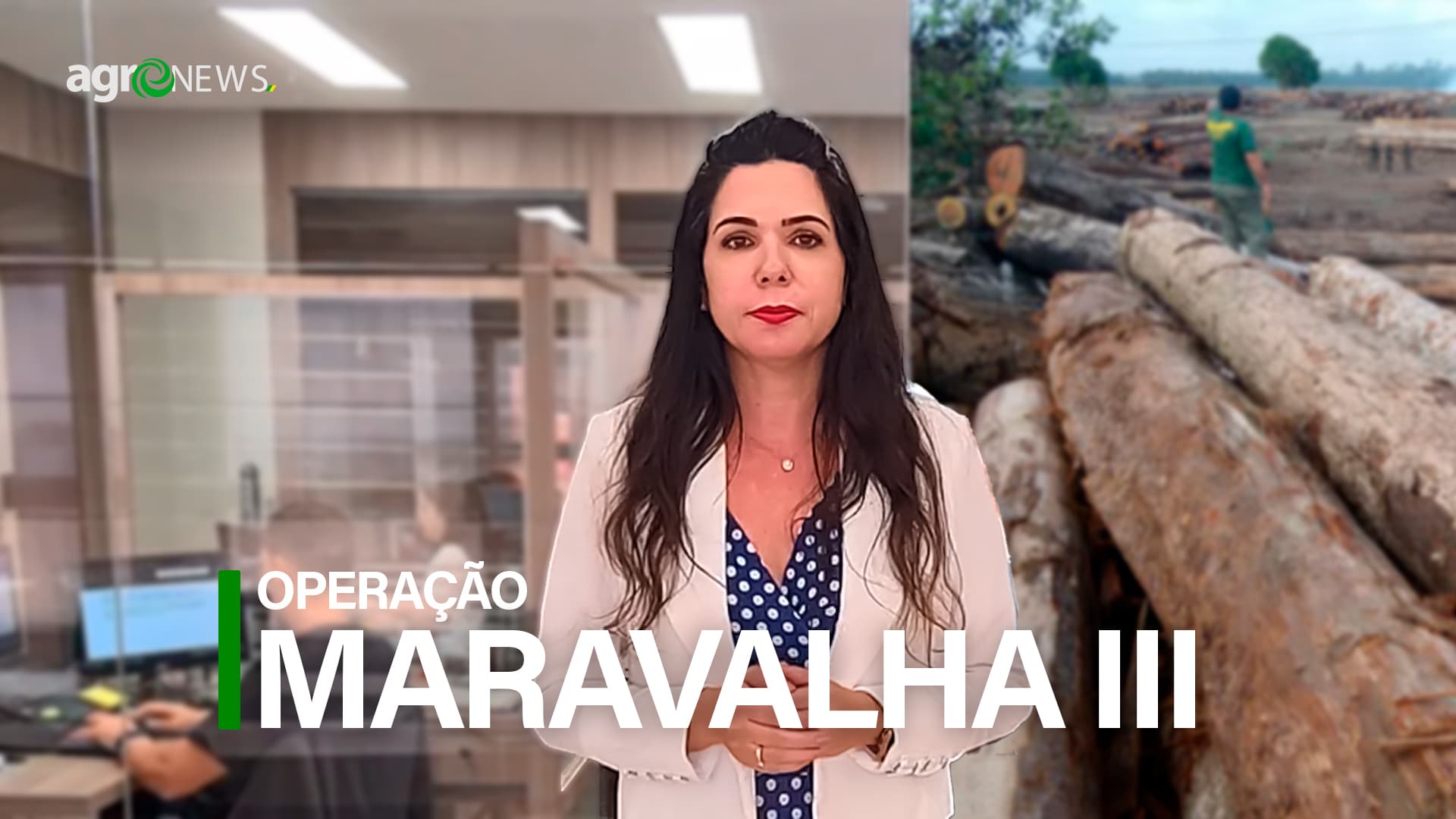 Saiba tudo sobre a “Operação Maravalha III” e as fraudes de produtos florestais em MT, RO e PA
