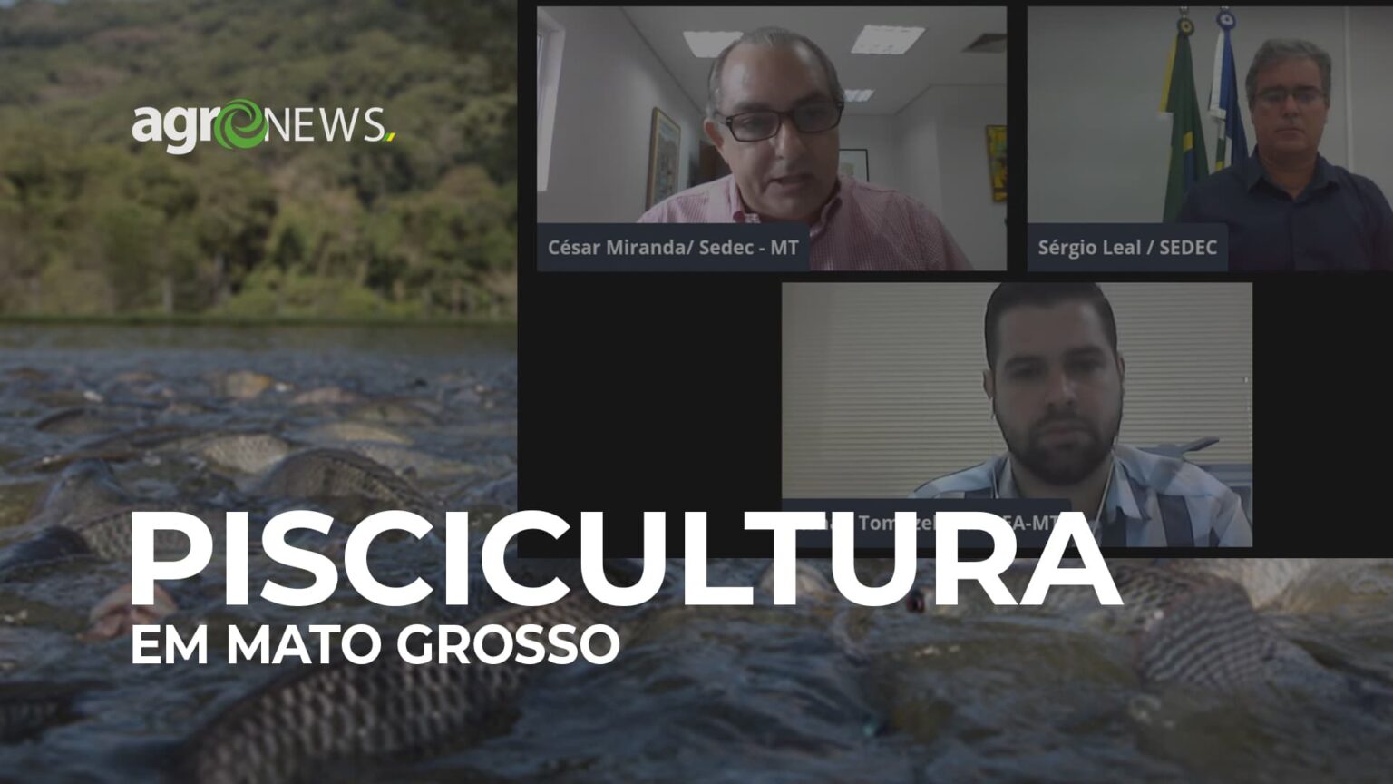 Piscicultura em mato grosso