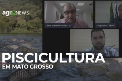 Piscicultura em mato grosso