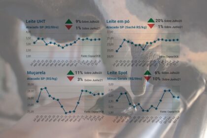 Preco de leite agosto 2021