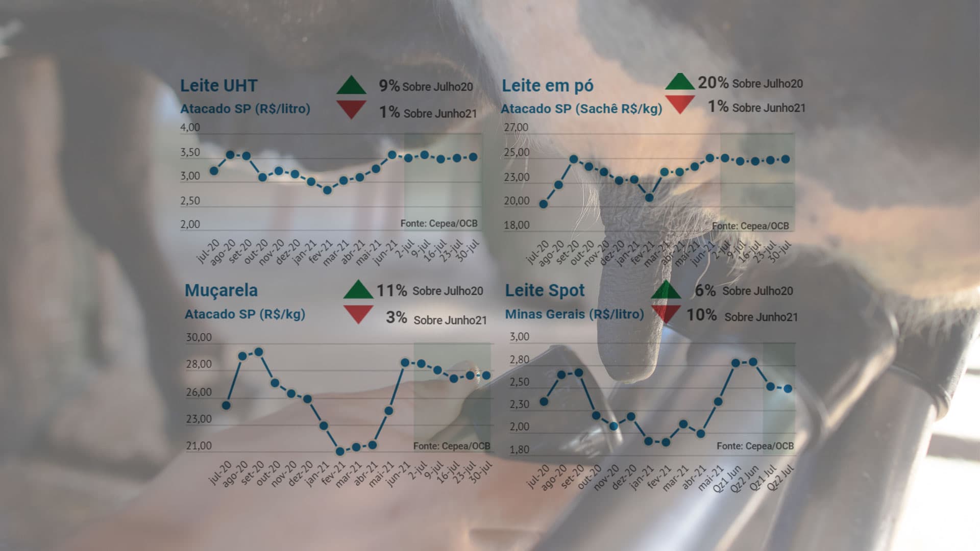 Após quatro altas seguidas, projeção é de queda no preço do leite pago ao produtor