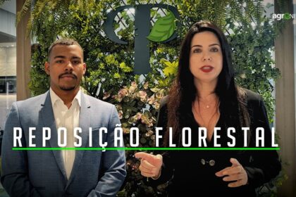 Reposicao florestal agronews