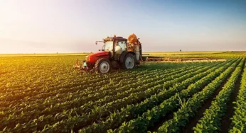 Governo libera R$ 179 milhões para a contratação de seguro rural no mês de maio