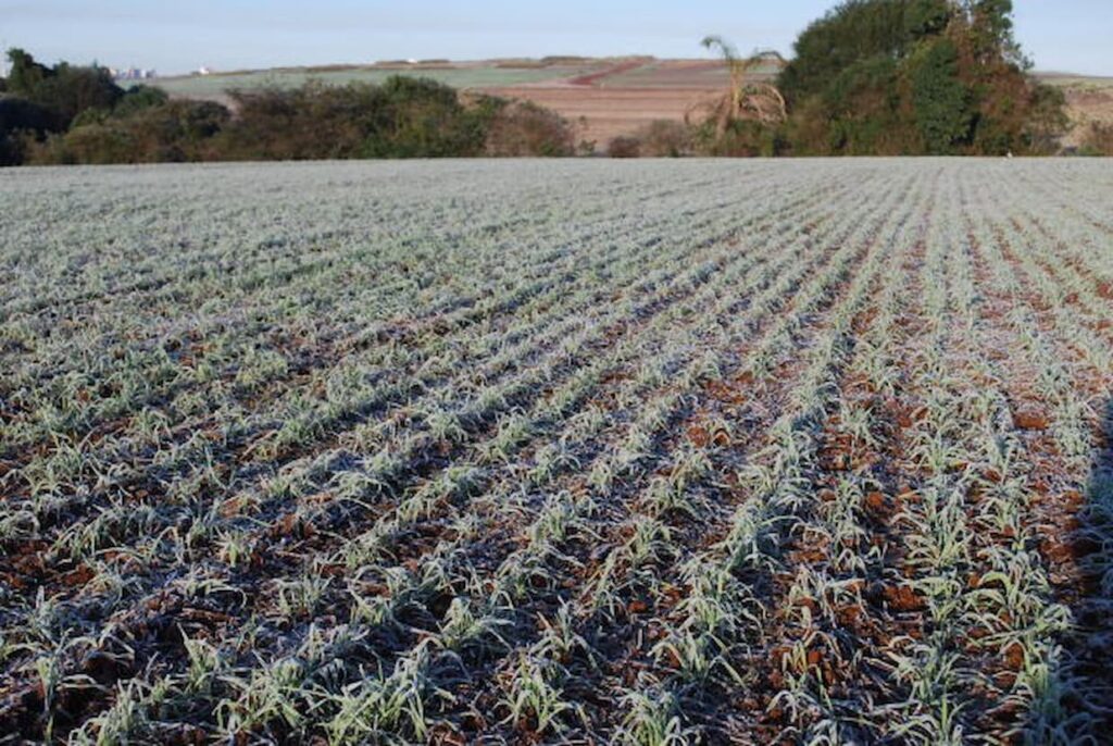 neve previsão do tempo