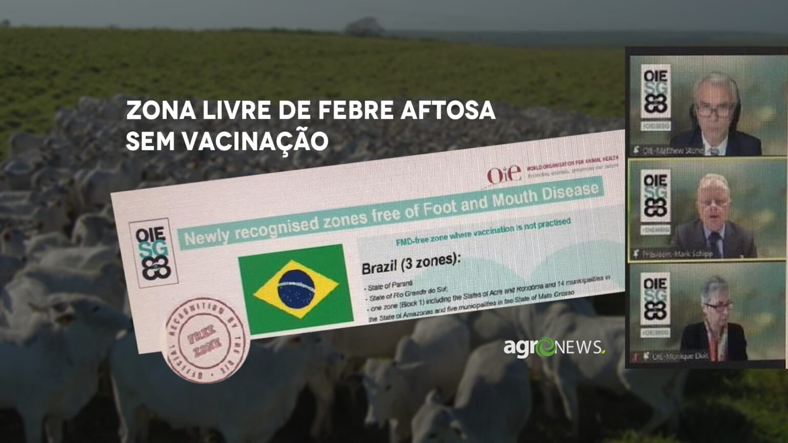 Zona livre de aftosa sem vacinacao