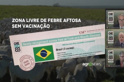 Zona livre de aftosa sem vacinacao