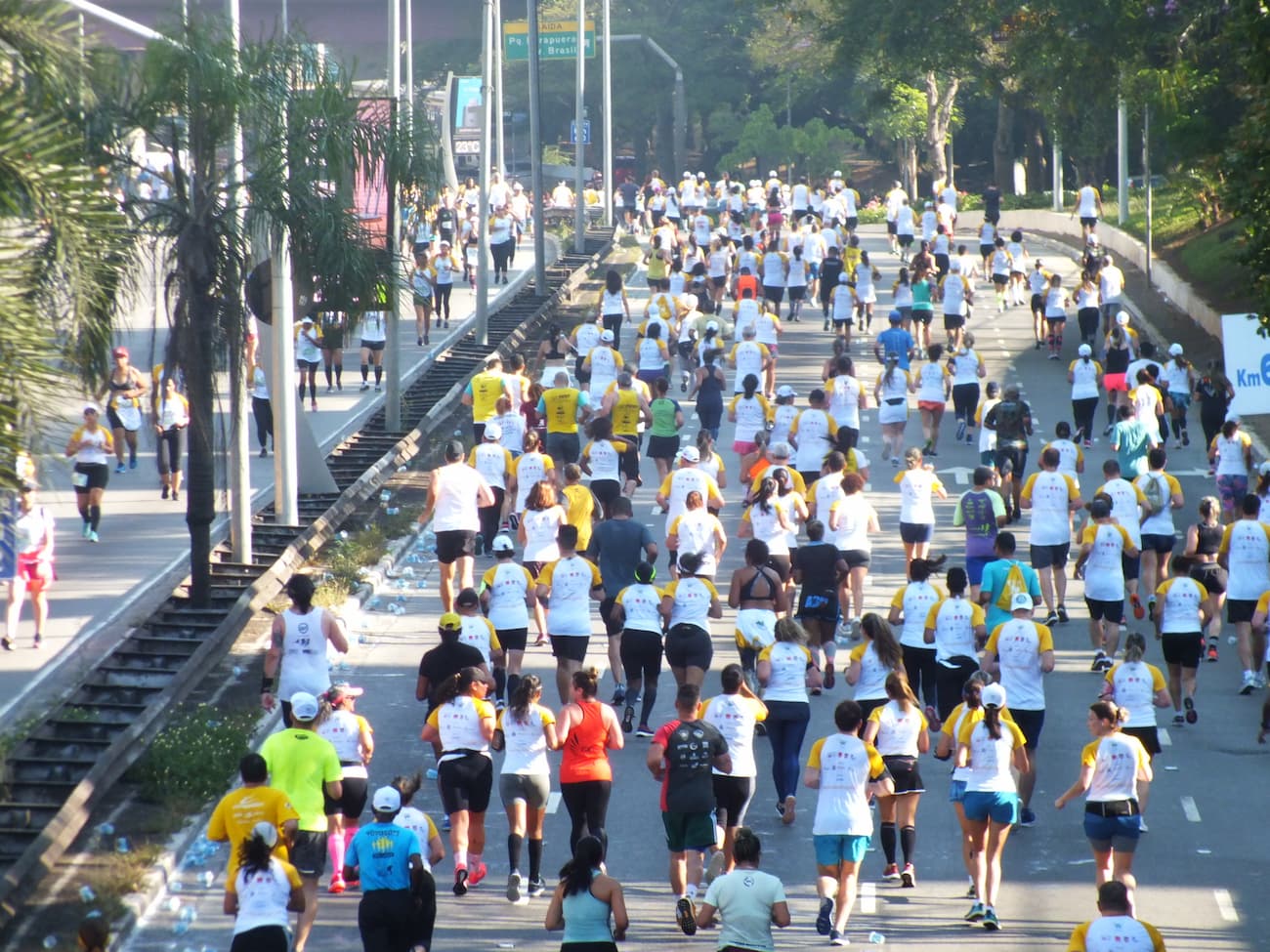 Corridadotrigo2019 1