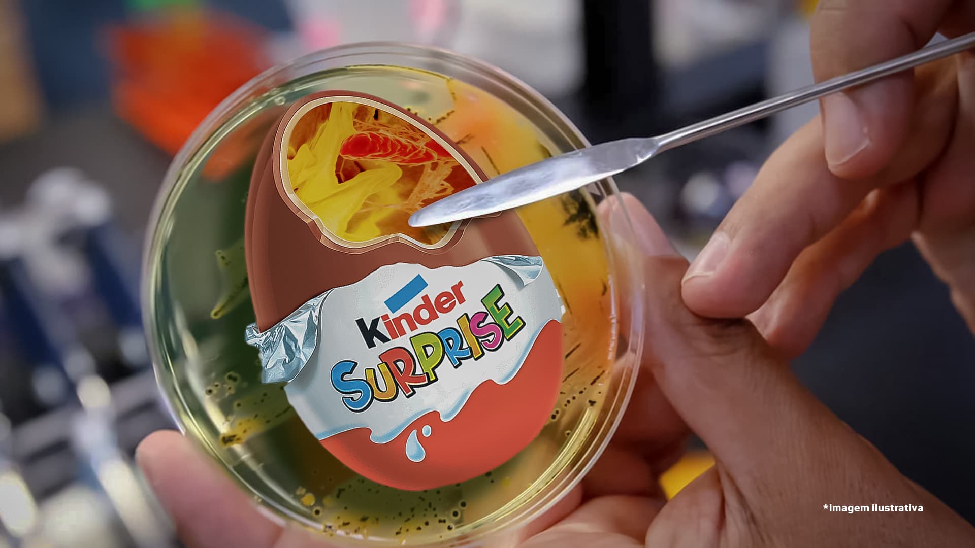 Salmonella em Kinder Ovo? Ministério da Justiça notifica fabricante após casos identificados
