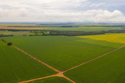 Lavoura com reserva legal em campo verde