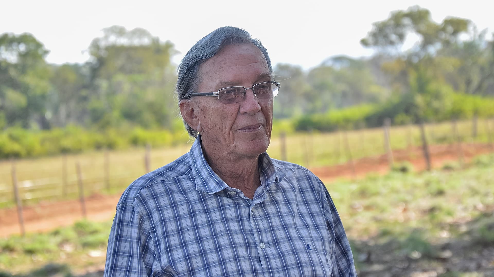 O Agro e o impacto na economia