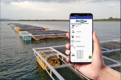Tecnologia transmite dados da piscicultura para o celular do produtor em tempo real