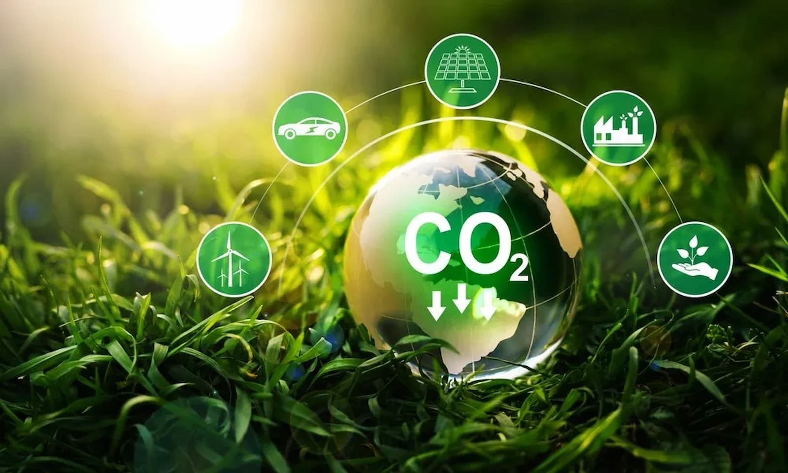 Mercado de crédito de carbono será discutido no Universo Pecuária – UP