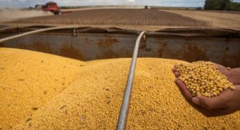 Preços de frete iniciam tendência de arrefecimento com fim da colheita da soja