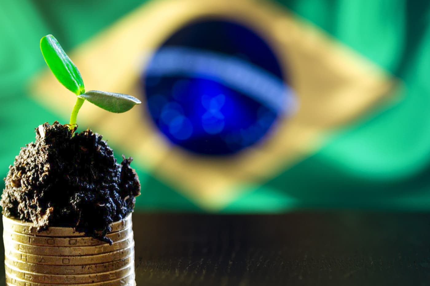 Brasil credito de carbono mundial